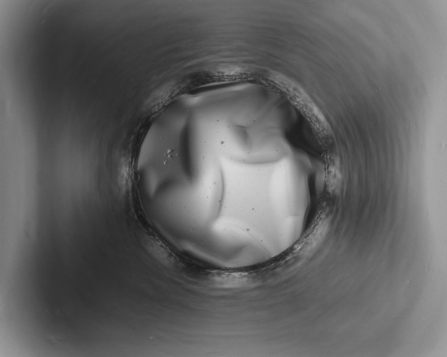 X0000103250476200809111619
