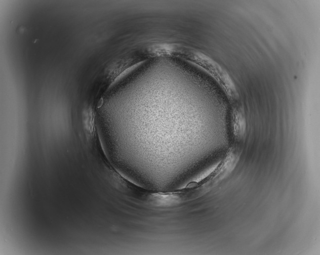 X0000103250477200809111619