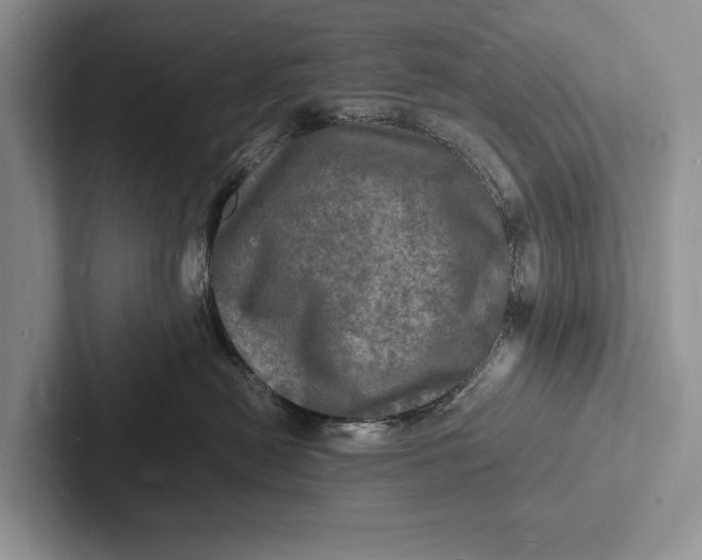 X0000103250478200809111619