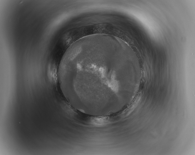X0000103250479200809111619