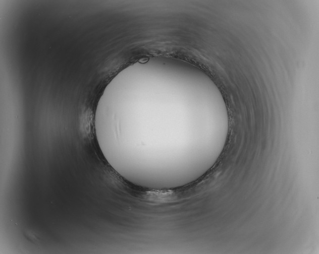 X0000103250480200809111619