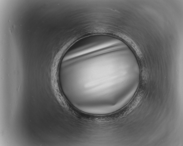 X0000103250481200809111618