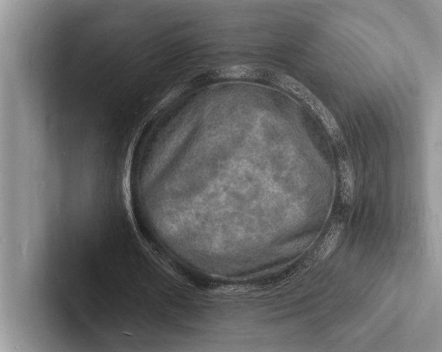 X0000103250482200809111618