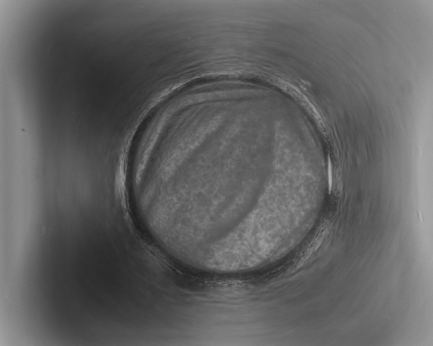 X0000103250483200809111618