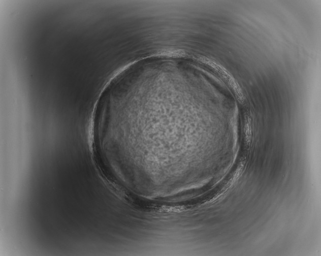 X0000103250484200809111618