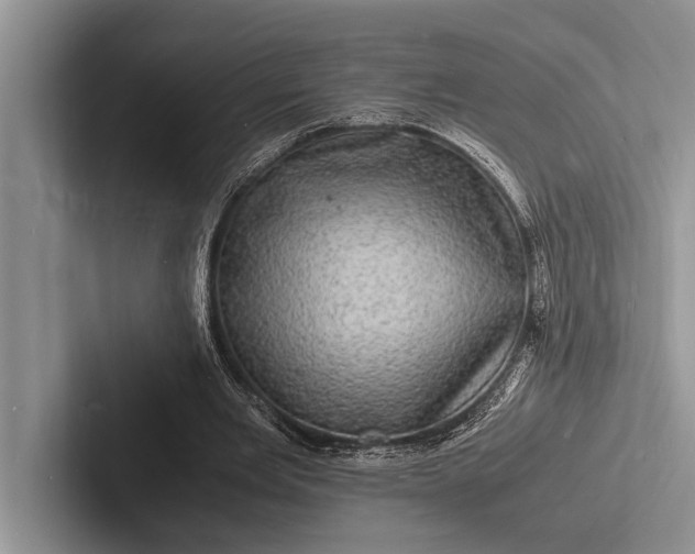 X0000103250485200809111618