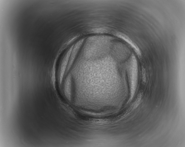 X0000103250486200809111618