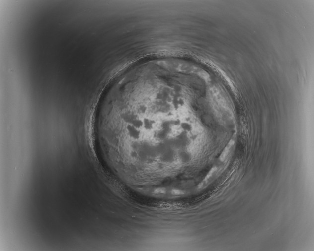 X0000103250487200809111618