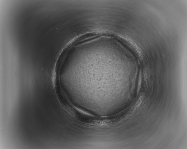 X0000103250488200809111618