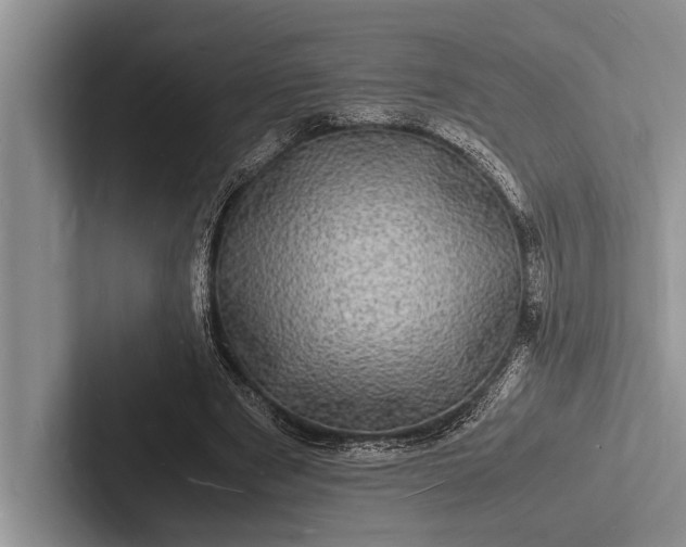 X0000103250489200809111618