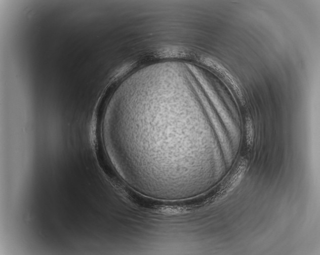 X0000103250490200809111618