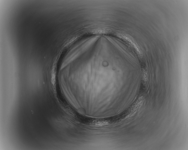 X0000103250491200809111618