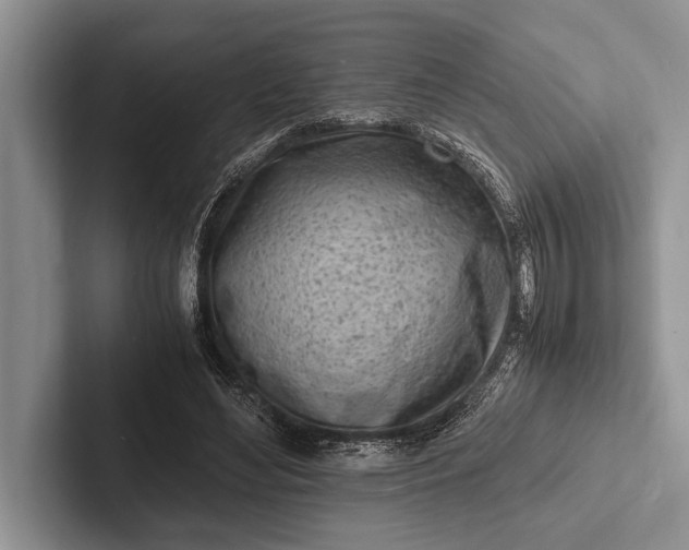 X0000103250492200809111618