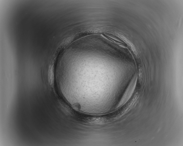 X0000103250493200809111618