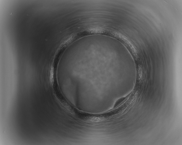 X0000103250494200809111618