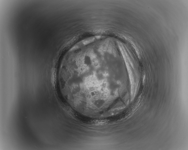 X0000103250495200809111618