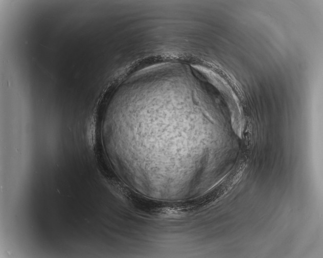 X0000103250496200809111618
