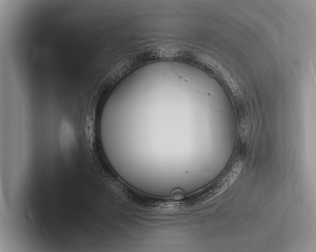 X0000103250497200809111618