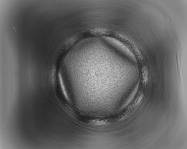 X0000103250498200809111618