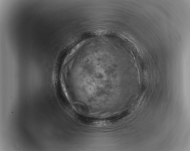 X0000103250499200809111618