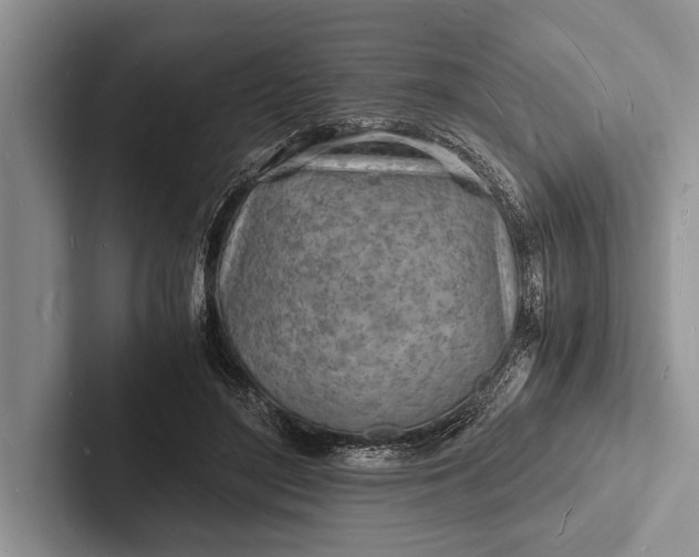 X0000103250500200809111618