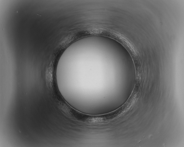 X0000103250501200809111618