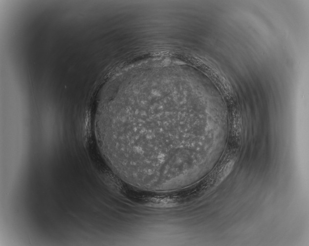 X0000103250502200809111618