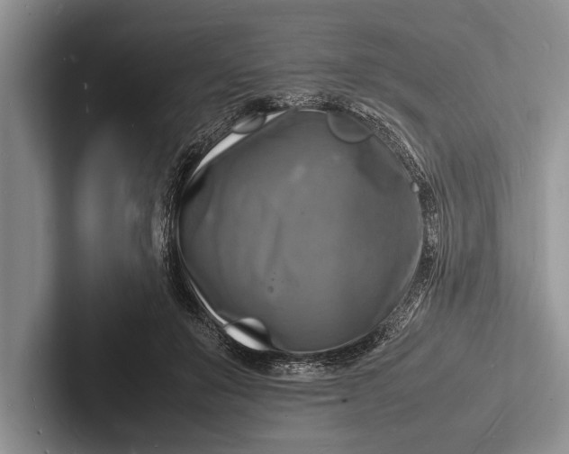 X0000103250503200809111618