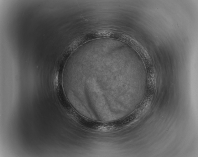 X0000103250504200809111618