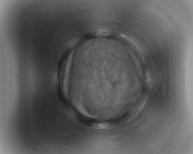 X0000103250506200809111618