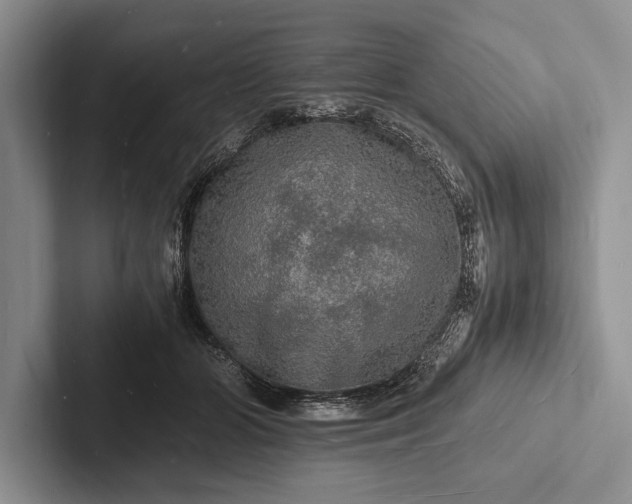 X0000103250510200809111618