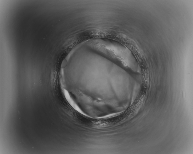 X0000103250511200809111618