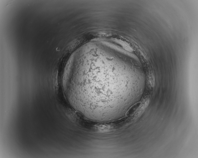 X0000103250512200809111618