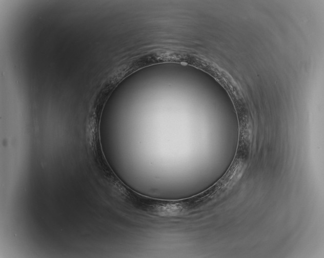 X0000103250513200809111618