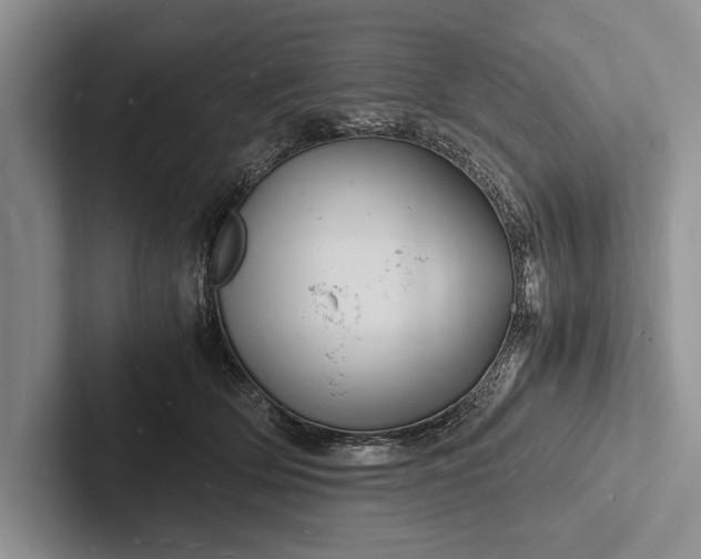 X0000103250514200809111618