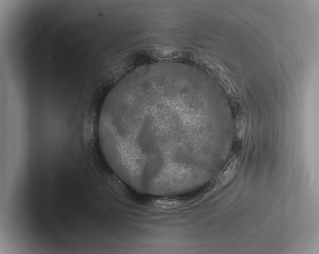 X0000103250515200809111618