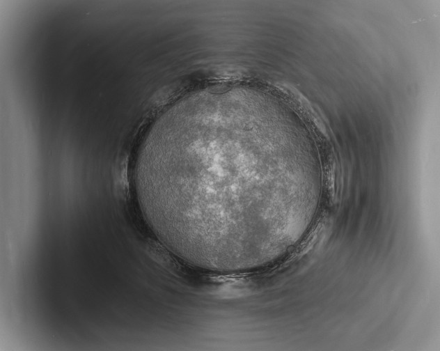 X0000103250516200809111618