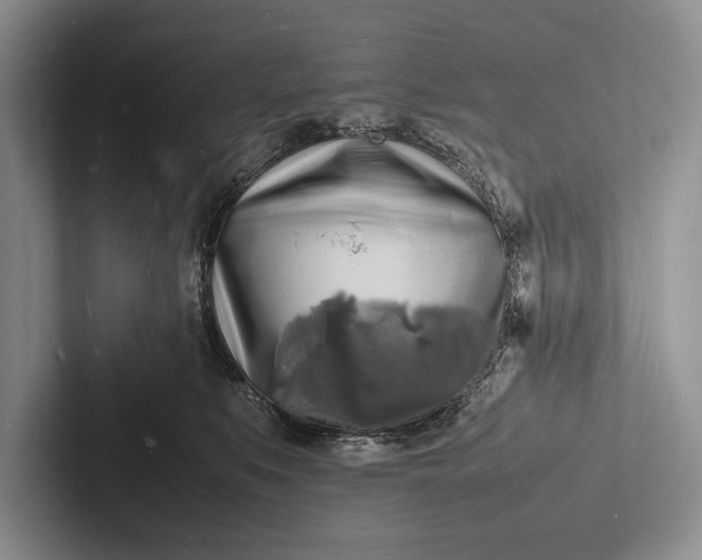 X0000103250519200809111618