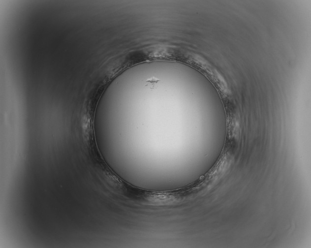 X0000103250521200809111618