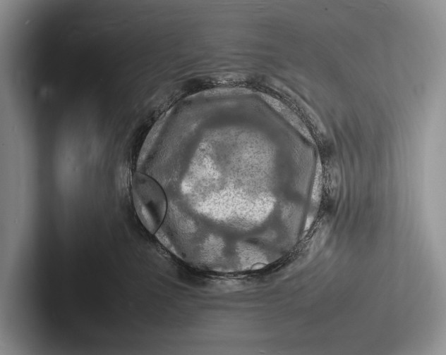 X0000103250523200809111618