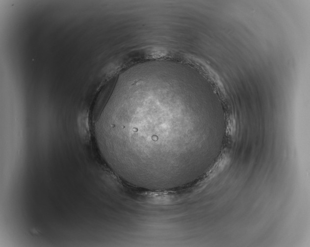 X0000103250524200809111618