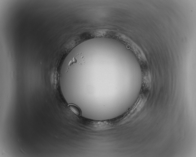 X0000103250525200809111618
