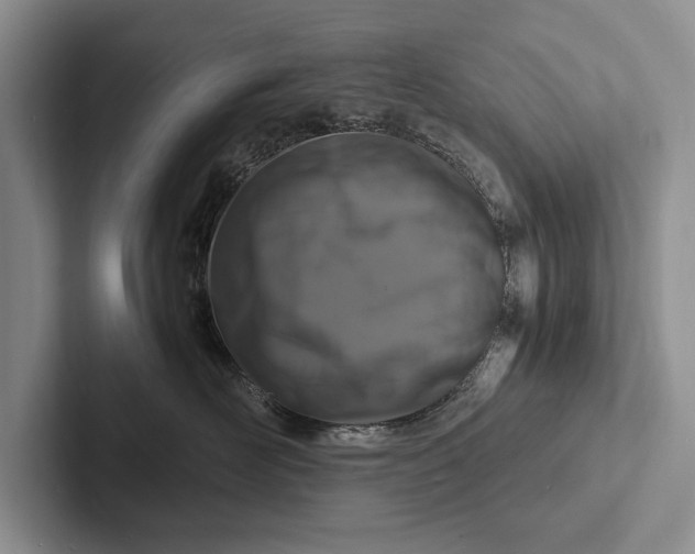 X0000103250526200809111618