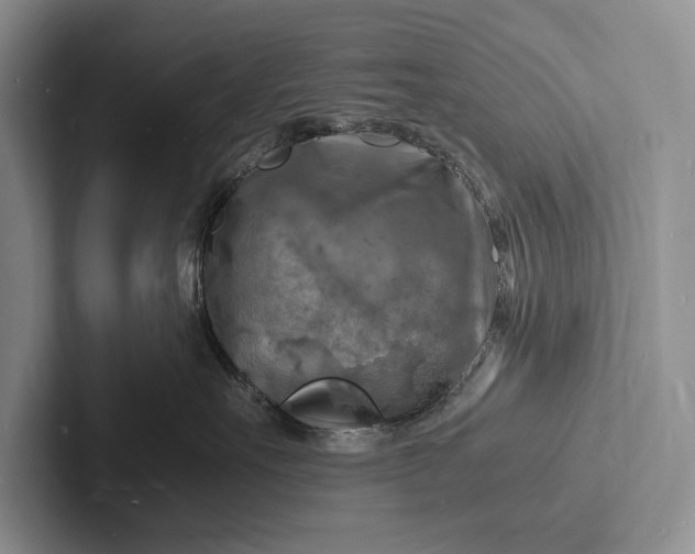 X0000103250527200809111618
