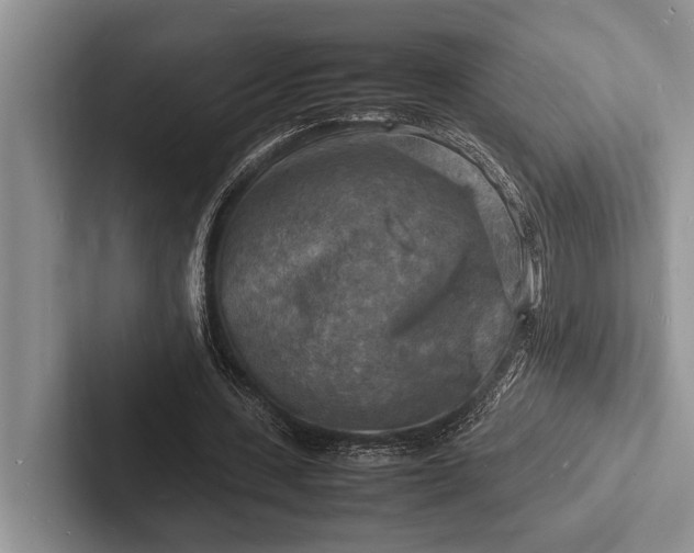X0000103250531200809111617