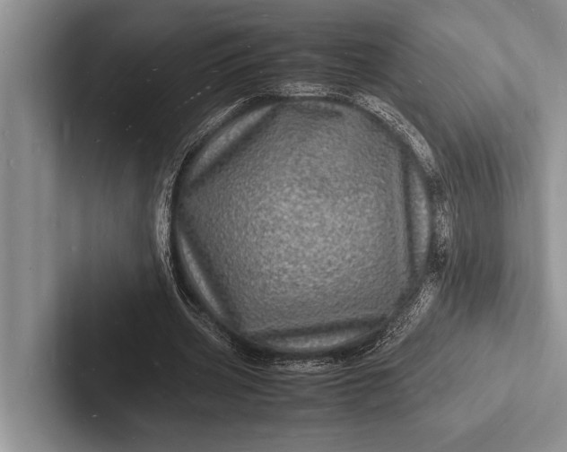 X0000103250533200809111617