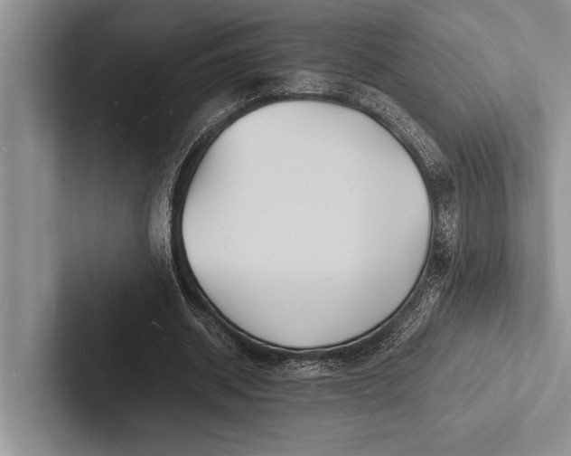 X0000103250534200809111617