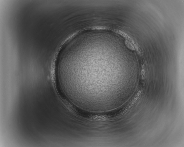 X0000103250535200809111617