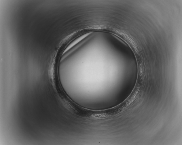 X0000103250536200809111617