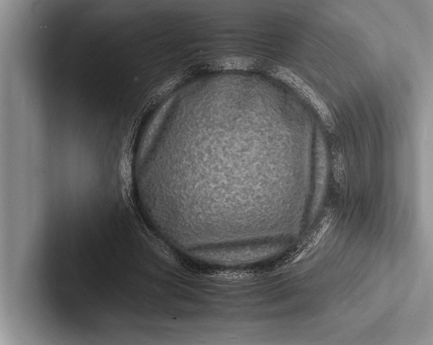 X0000103250537200809111617